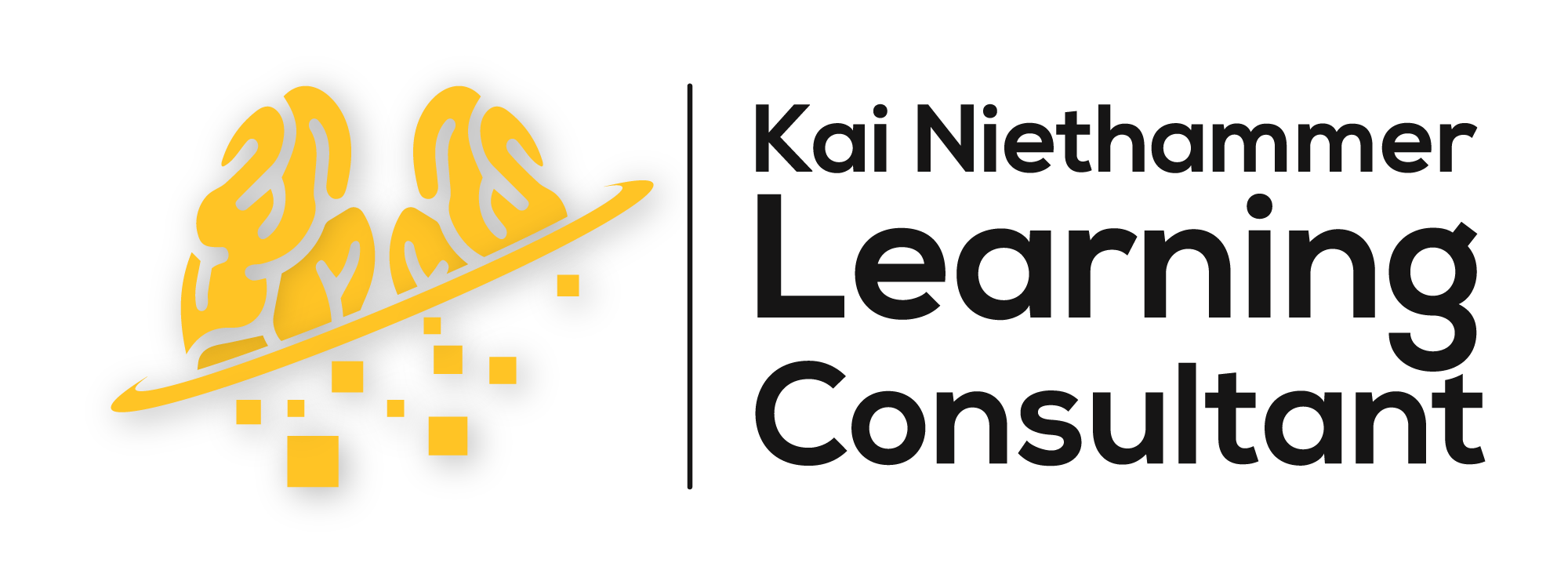 Kai Niethammer Learning Consultant